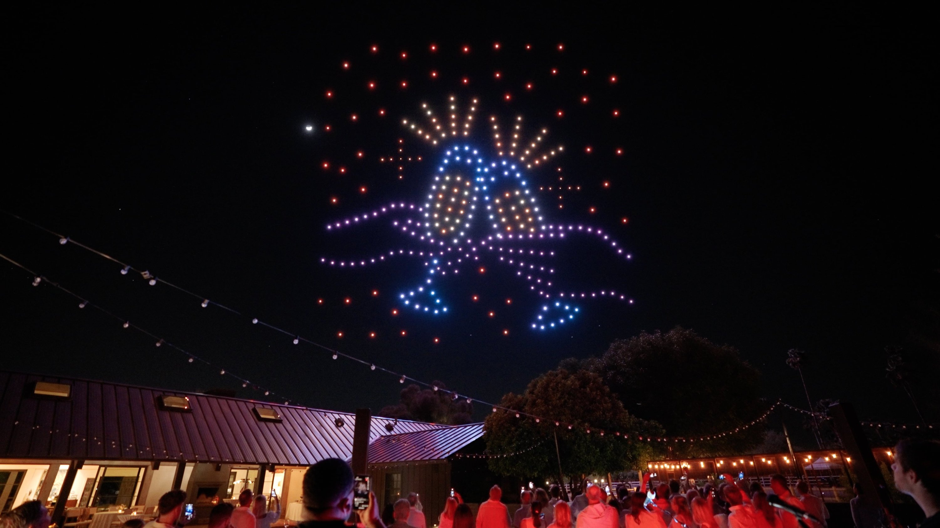 Professional Drone Light Shows in Washington State