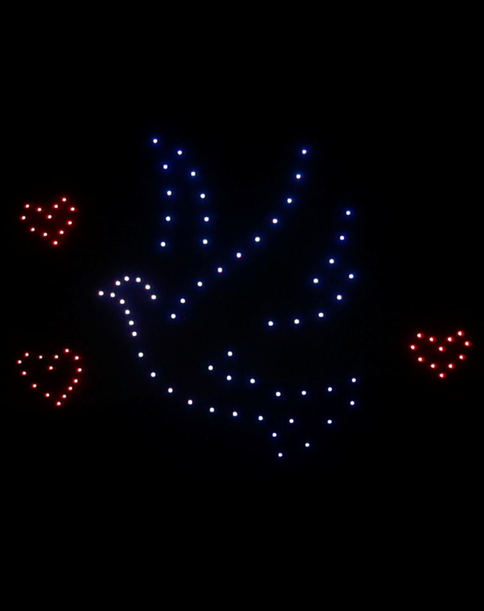 Drone Light Shows At Wedding Instead of Fireworks