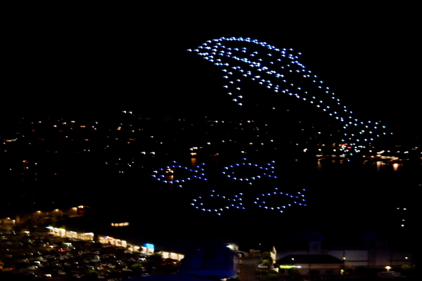 Hawaii drone company