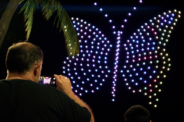 Drone butterfly in Hawaii