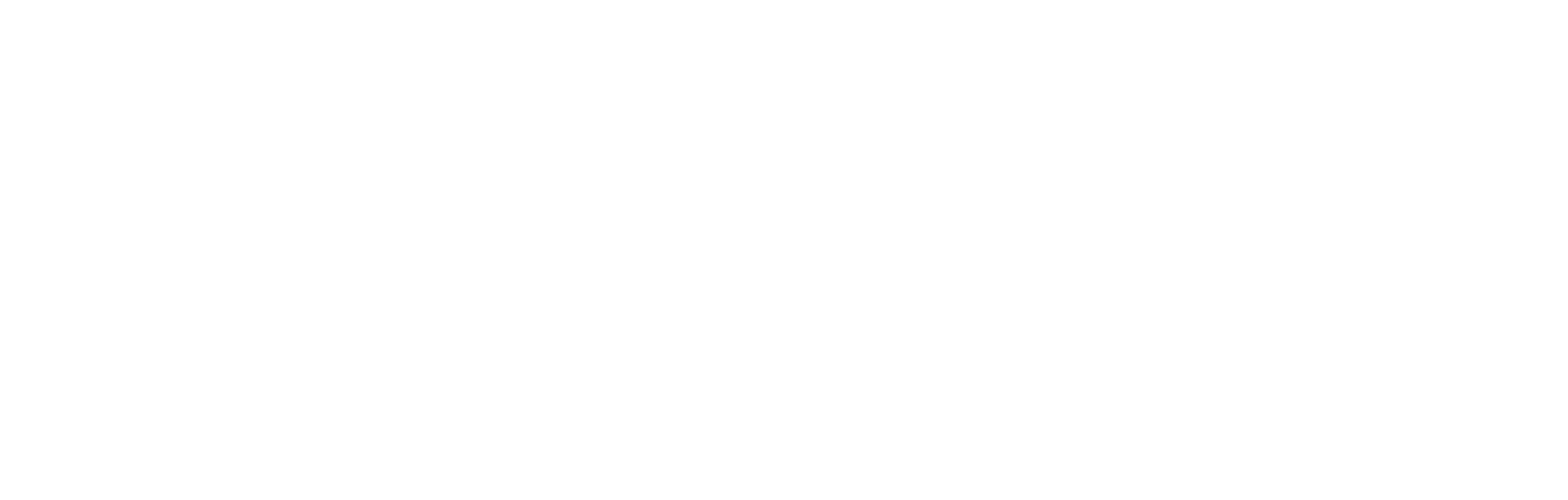 SkyElements-Logo-Horiz-White