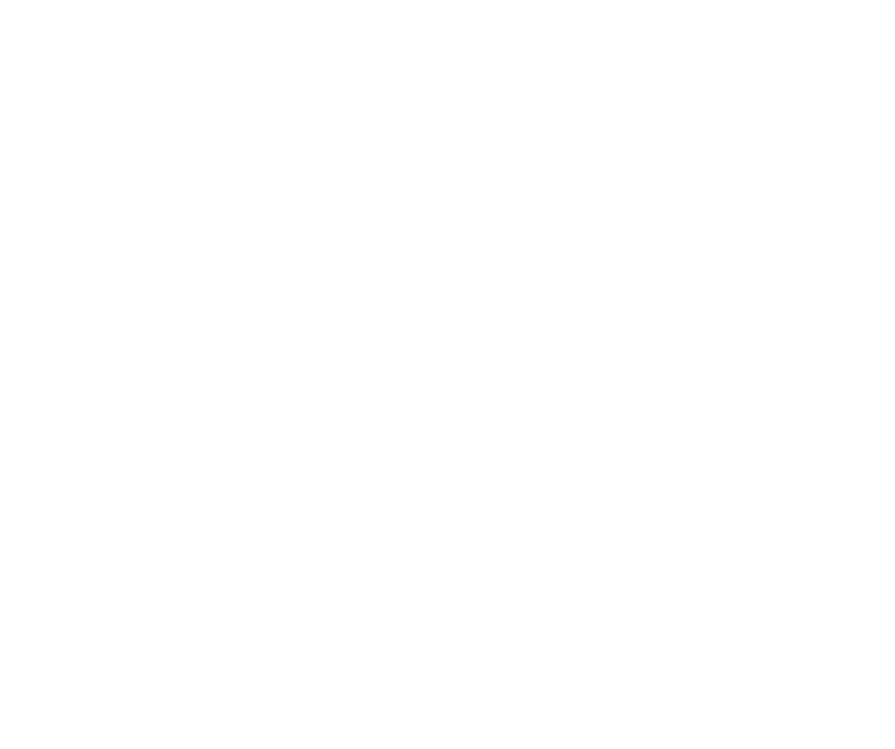 Carolina Country Music Festival logo