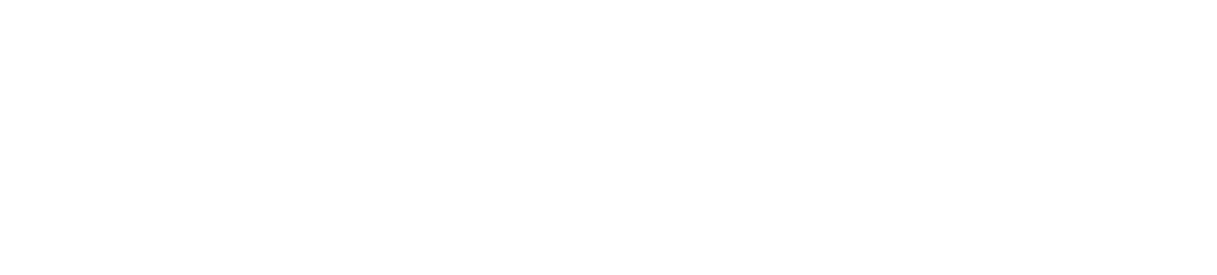 Guns N' Roses logo
