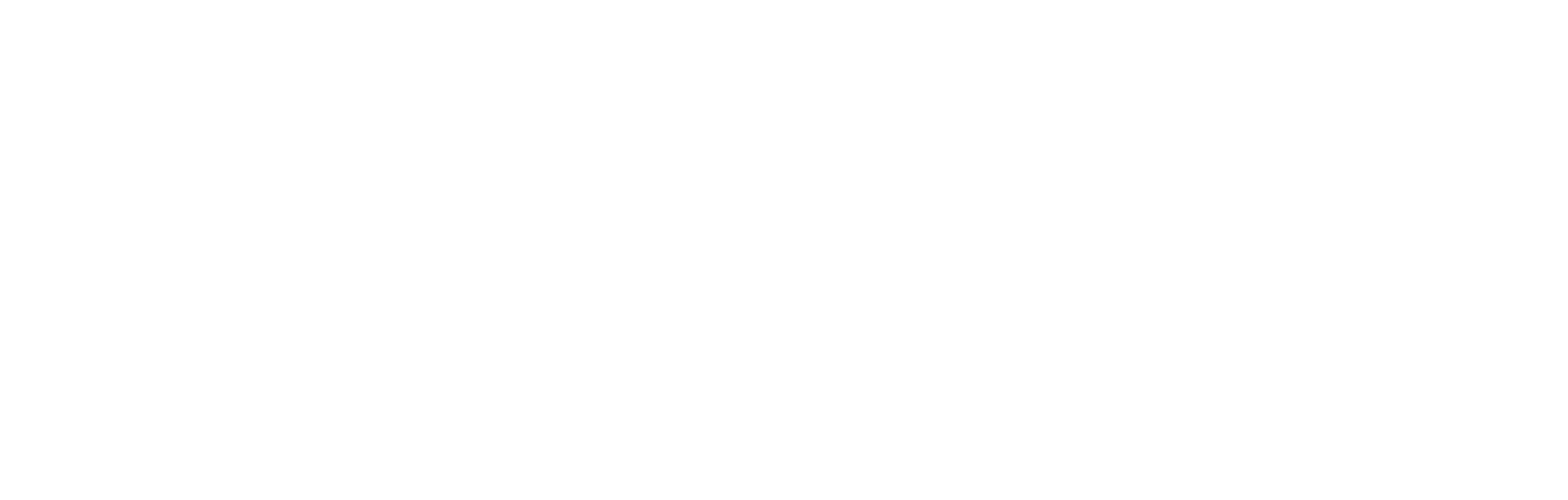 SkyElements-Logo-Horiz-White