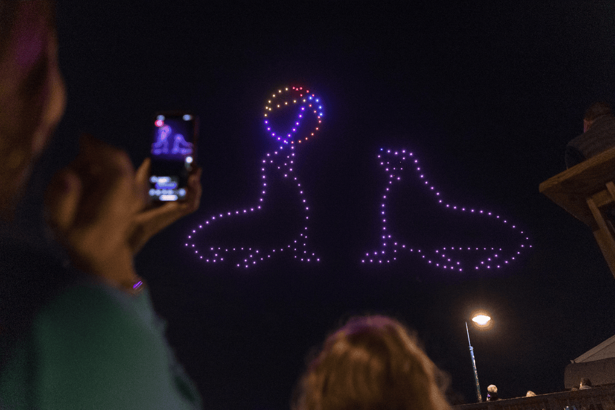 Two sea lions formed by drones, one balancing a colorful beach ball, over a night sky crowd