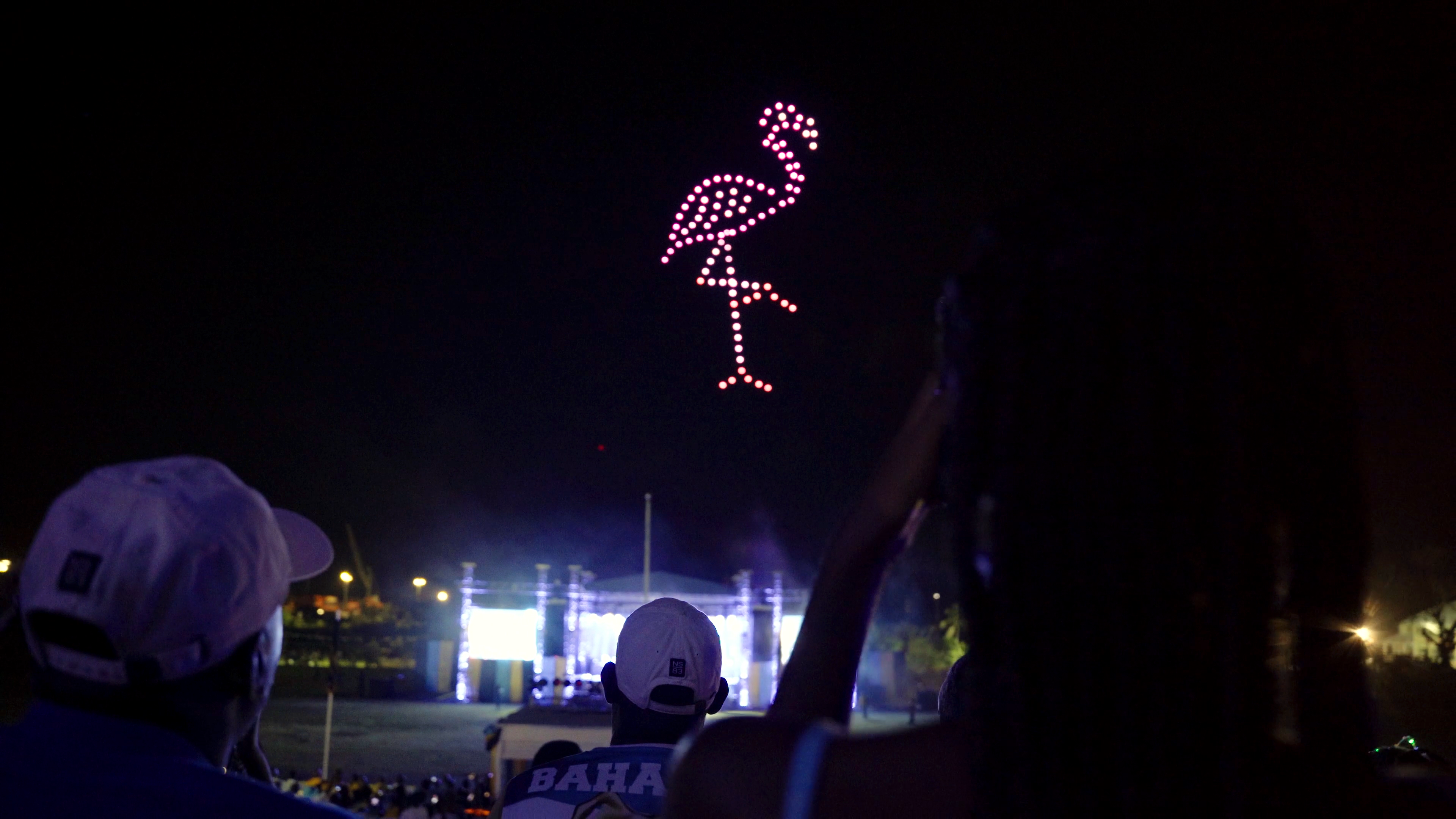 Pink Flamingo Made With 100 Drones