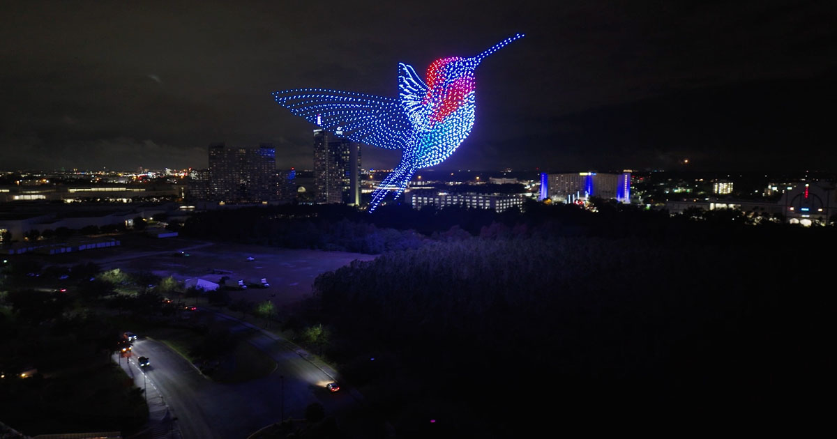 Largest aerial image of a bird made with multirotors or drones